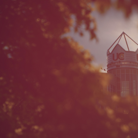 Clay Tower peeking through the leaves