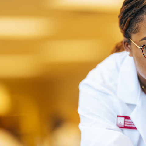 undergrad student pic