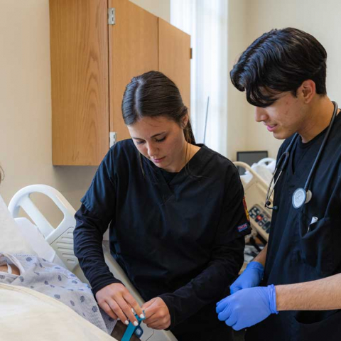Healthcare Career