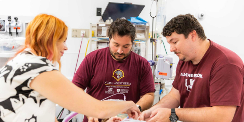 Doctor of Nurse Anesthesia Practice