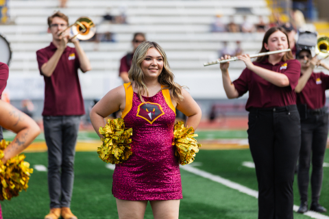 Tailgate Football Game