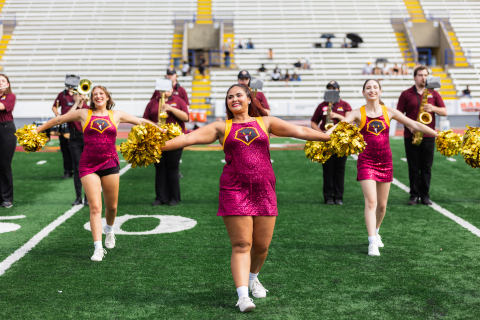 Tailgate Football Game