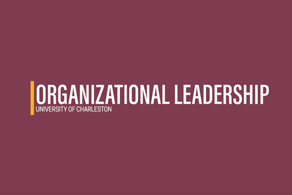 Organizational Leadership Video